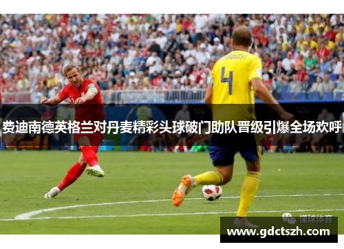 费迪南德英格兰对丹麦精彩头球破门助队晋级引爆全场欢呼