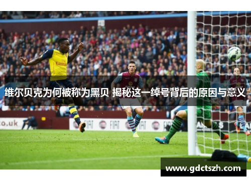 维尔贝克为何被称为黑贝 揭秘这一绰号背后的原因与意义