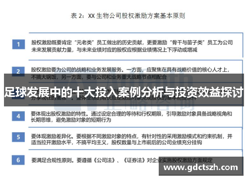 足球发展中的十大投入案例分析与投资效益探讨